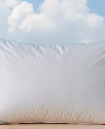 Almohada Óptmima de Duvedecor con relleno de plumón