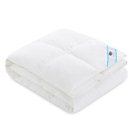 Relleno Nórdico Nube Otoño de plumón europeo doblado