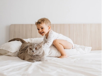 Descanso saludable infantil con protección antialérgenos