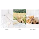 Protección frente a ácaros, polen, perros y gatos